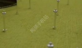 情欲房在线观看完整版