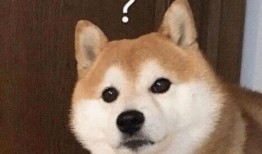 巴哥线索爆料了吗视频,爆料视频背后的惊人真相