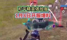 帕布鸡体验服最新爆料,神秘技能曝光，游戏玩法再升级！