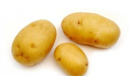 土豆直播网红吃瓜,趣味横生引网友热议