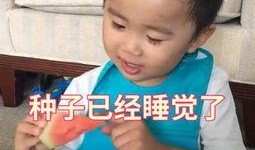 娱乐吃瓜社小鸡嘴,娱乐圈幕后那些事儿