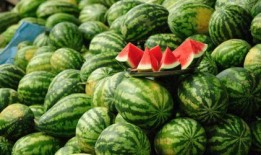 娱乐718网红吃瓜,网红吃瓜盛宴，揭秘娱乐圈幕后真相