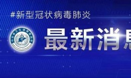青岛隔离最新爆料,揭秘隔离生活背后的真实情况