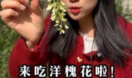 乡居小鹿爆料视频大全最新,揭秘乡村生活新篇章