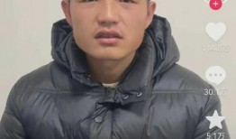 刘伟爆料家暴视频大全最新,视频大全揭示家庭暴力残酷现实