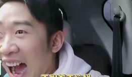 娱乐圈八卦爆料全集,揭秘明星背后的故事与真相