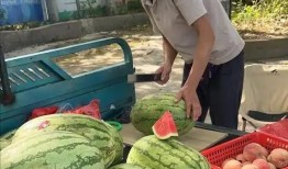 河南网红吃瓜事件视频,揭秘网络舆论的风暴与真相