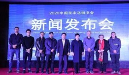 河南都市爆料宝丰新闻最新消息,最新进展及影响揭秘