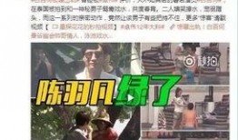 业内人士爆料王诗晴视频,业内揭秘背后真相