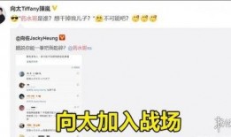 水哥爆料截图视频下载,视频截图背后的下载秘密