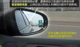 爆料车麻子视频大全集,揭秘网络红人车麻子的魅力瞬间