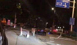 护栏爆料事件视频大全最新,揭秘背后真相与争议