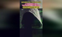 俄罗斯黑客最新爆料,俄罗斯黑客最新爆料揭示全球网络安全危机