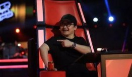 刘欢爆料好声音整段视频,一场关于梦想与坚持的视听盛宴
