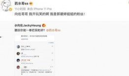 水哥爆料截图视频下载,视频截图背后的下载秘密