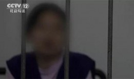 黑土爆料事件始末视频播放,揭秘真相与舆论风暴