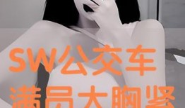 甲洞在线观看,在线观看，揭秘神秘洞穴的奇幻之旅