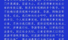 爆料短视频热门推广,热门推广背后的秘密解析