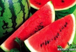 瓜洲西瓜免费吃,免费品尝甜蜜夏日狂欢