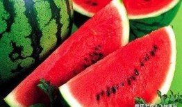 瓜洲西瓜免费吃,免费品尝甜蜜夏日狂欢