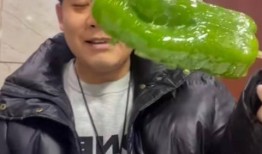 河南网红吃瓜事件视频,揭秘网络舆论的风暴与真相