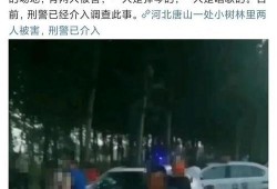 唐山最近爆料案件最新